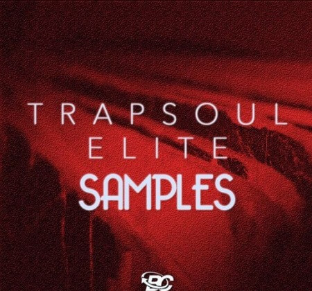 Big Citi Loops Trapsoul Elite Samples WAV